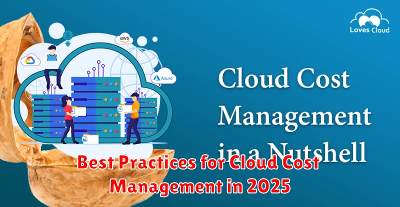 Best Practices for Cloud Cost Management in 2025